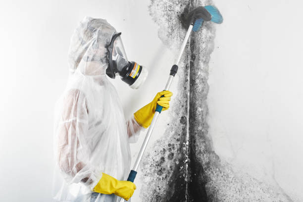 Best Indoor Air Quality Assessment  in Berlin, MD