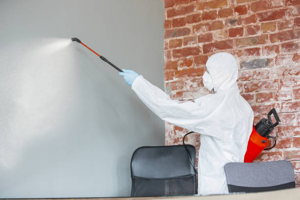 Best Mold Remediation for Healthcare Facilities  in Berlin, MD