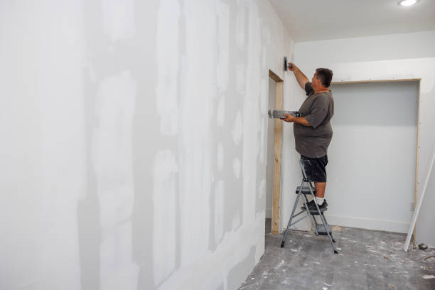 Best Mold Remediation for Vacation Homes  in Berlin, MD