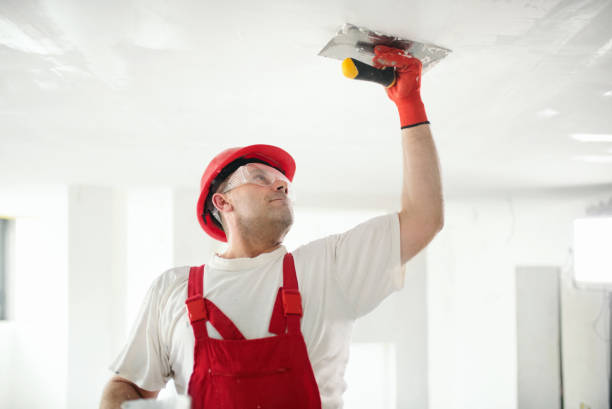 Environmental Consulting for Mold Prevention in Berlin, MD