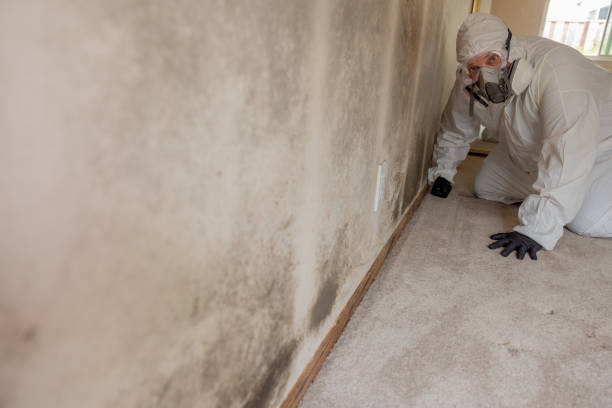 Best Commercial Mold Inspection  in Berlin, MD