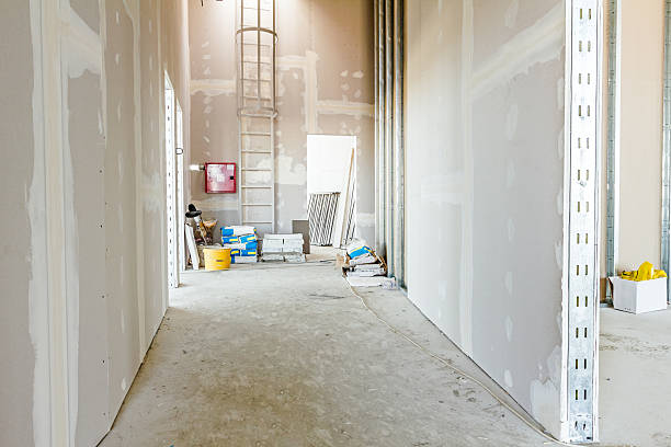 Best Real Estate Mold Inspection  in Berlin, MD