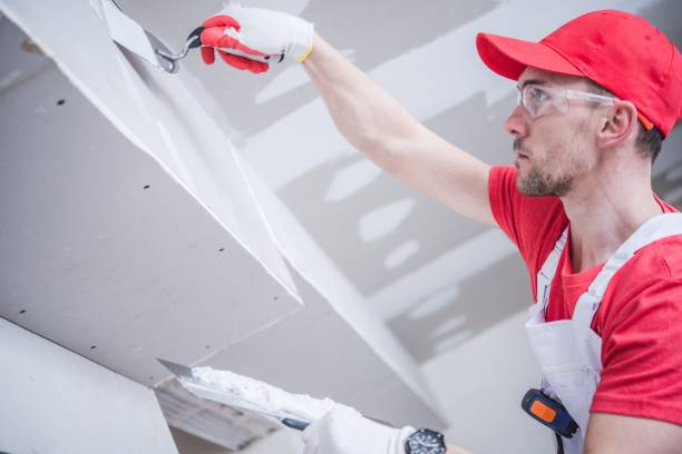Berlin, MD Mold Removal Company